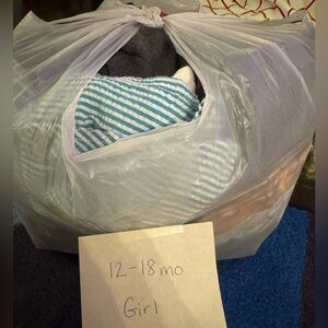 12-18mo Baby Girl Clothing Bundle